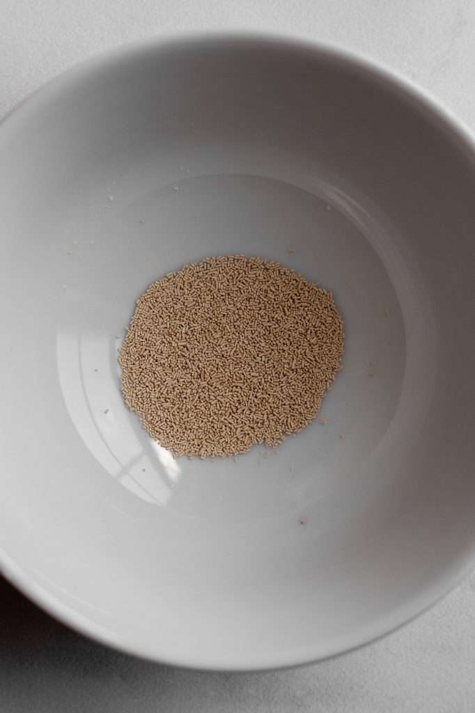 Bowl of instant yeast for use in sourdough discard bagels.