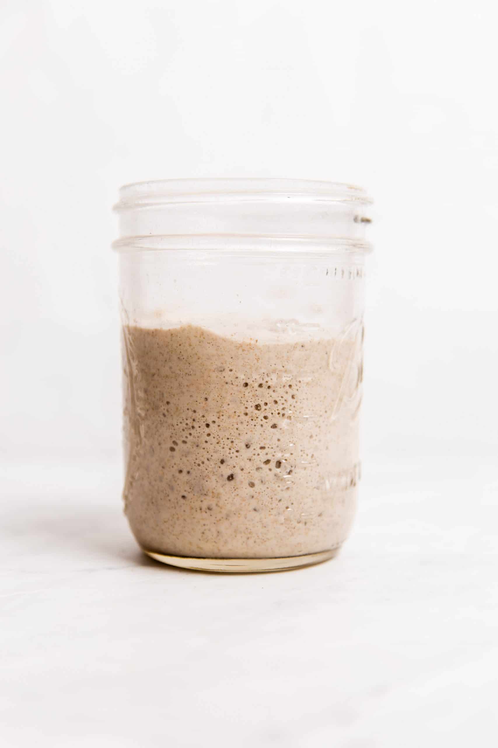 Dehydrated Sourdough Starter made with Organic Flour