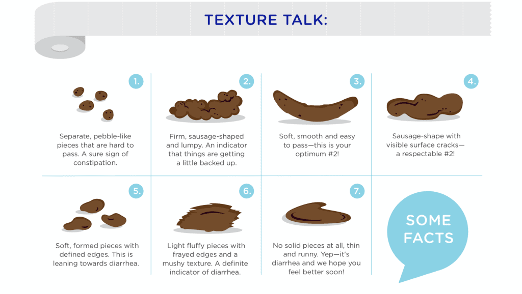 a graphic explaining the different forms of human feces. 