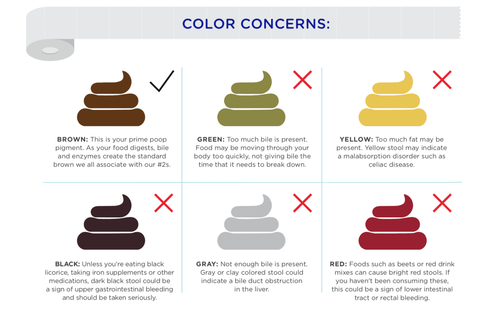 a graphic explaining the different appearances of human feces. 