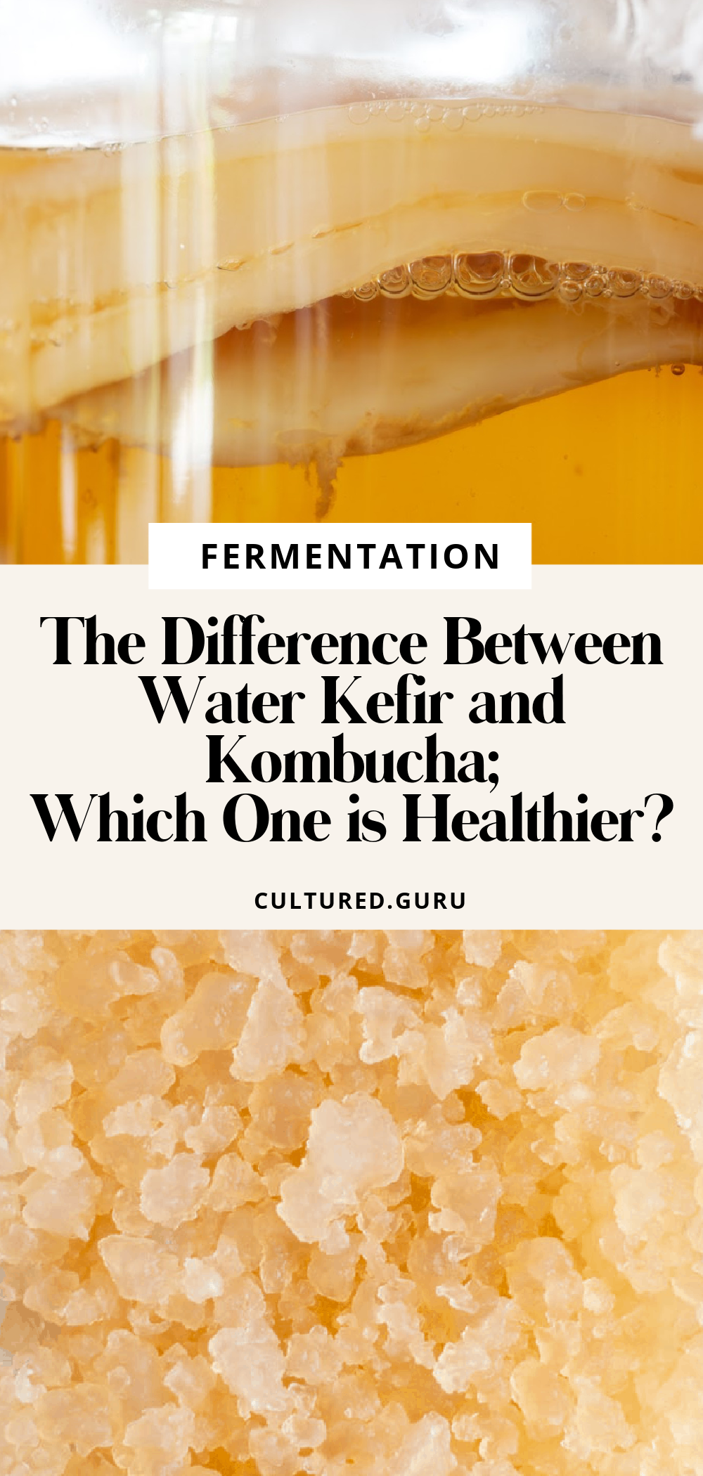 The Difference Between Water Kefir and Kombucha; Which One is Healthier
