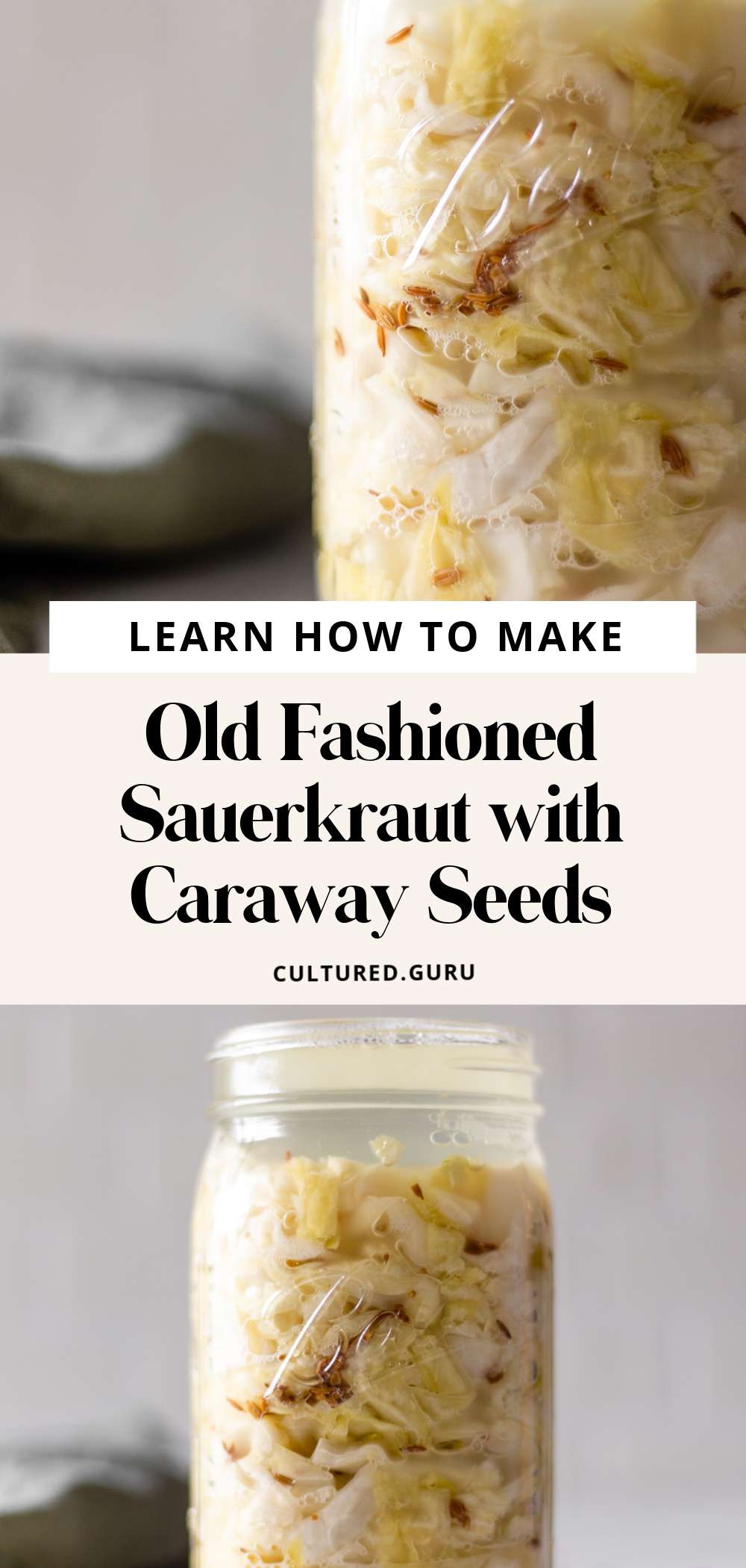 How to Make Old Fashioned Sauerkraut with Caraway Seeds • Cultured Guru