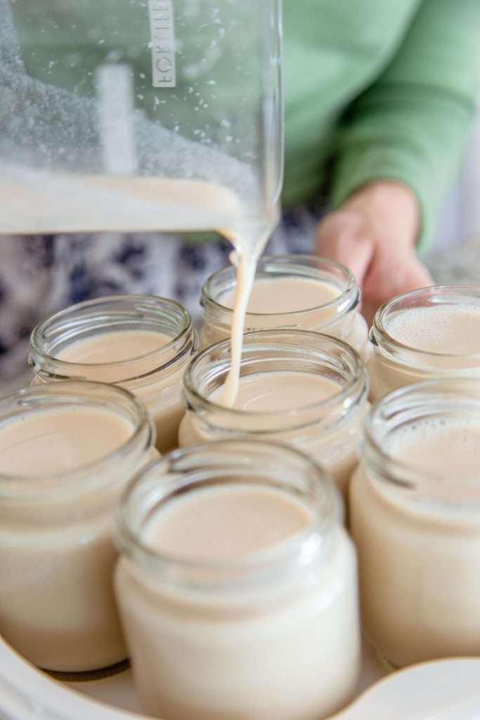 Instant pot oat milk yogurt online recipe