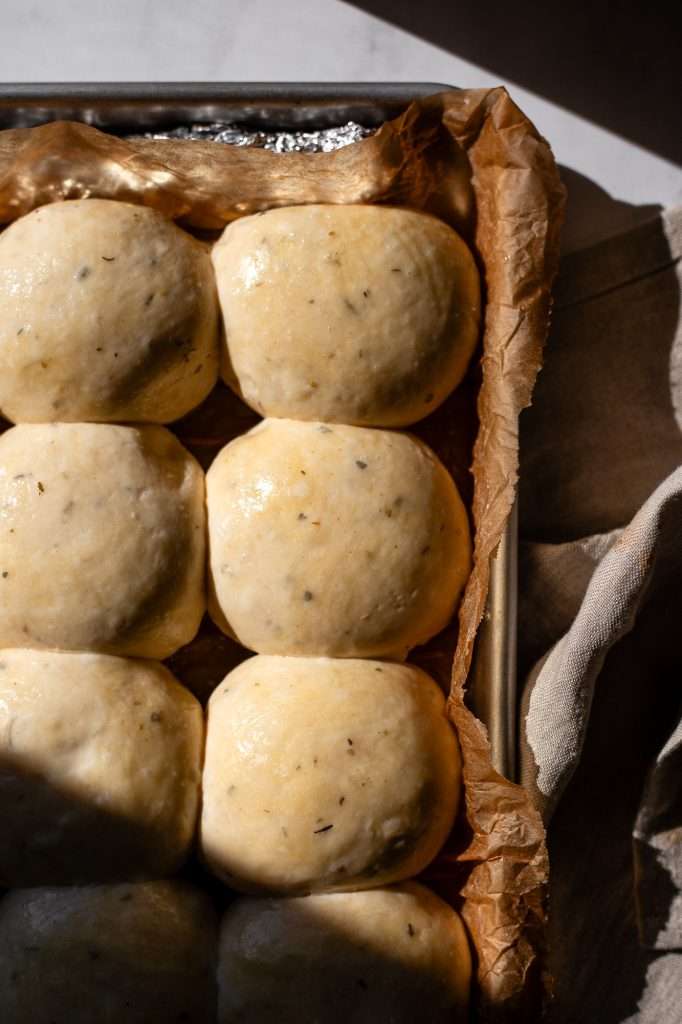 sourdough dinner rolls in a parchment paper lined pan. The rolls have doubled in size and are ready to be baked. 