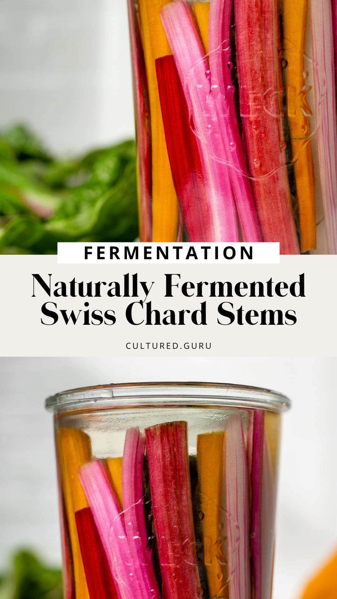 Naturally Fermented Swiss Chard Stems • Cultured Guru