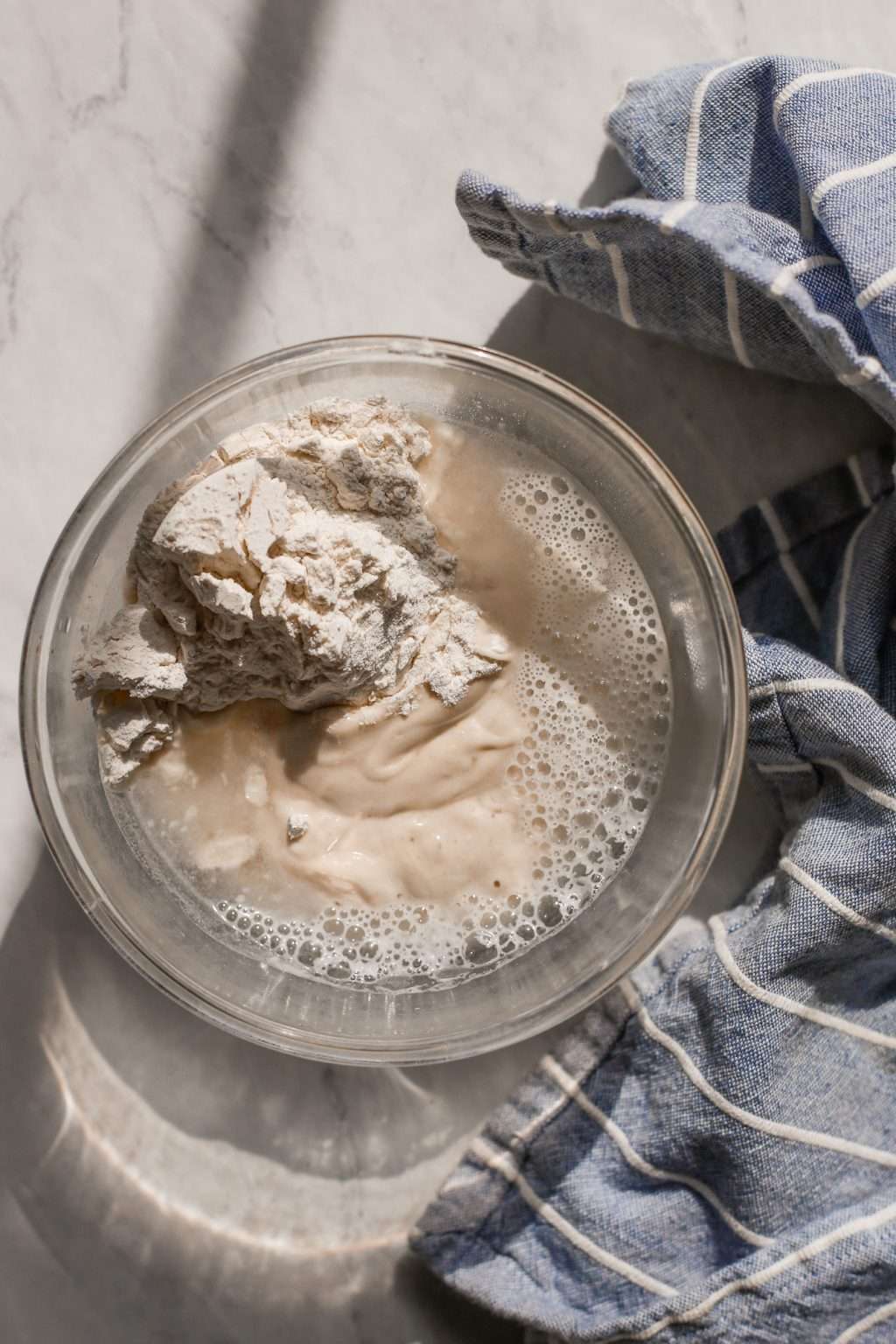 How to Feed a Sourdough Starter with Bread Flour