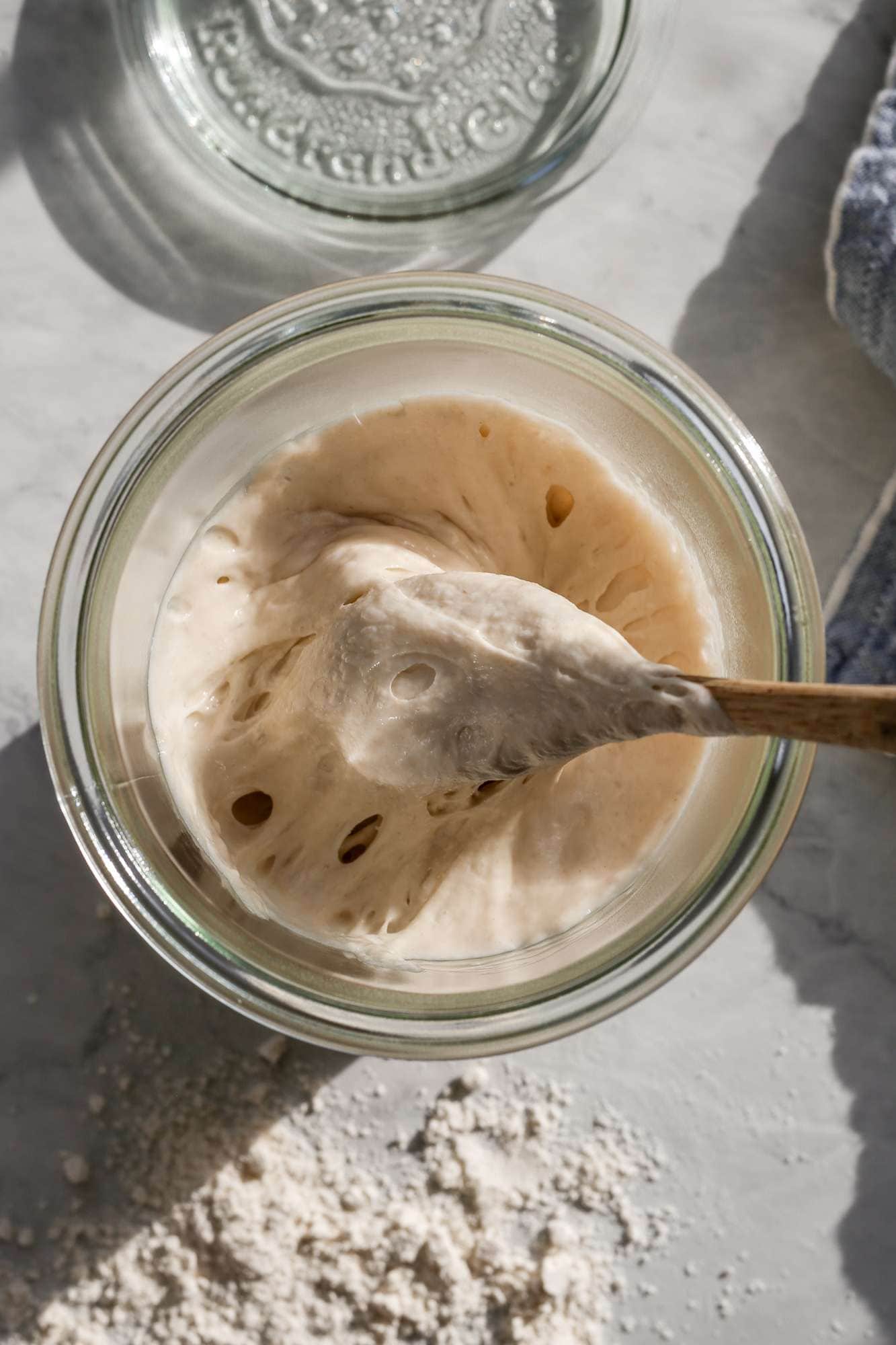 How to Feed a Sourdough Starter with Bread Flour