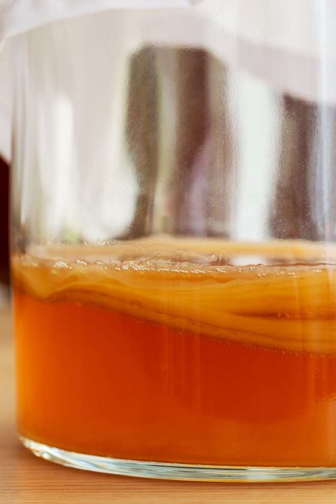 The Mother of All Ferments: Kombucha - Zero-Waste Chef