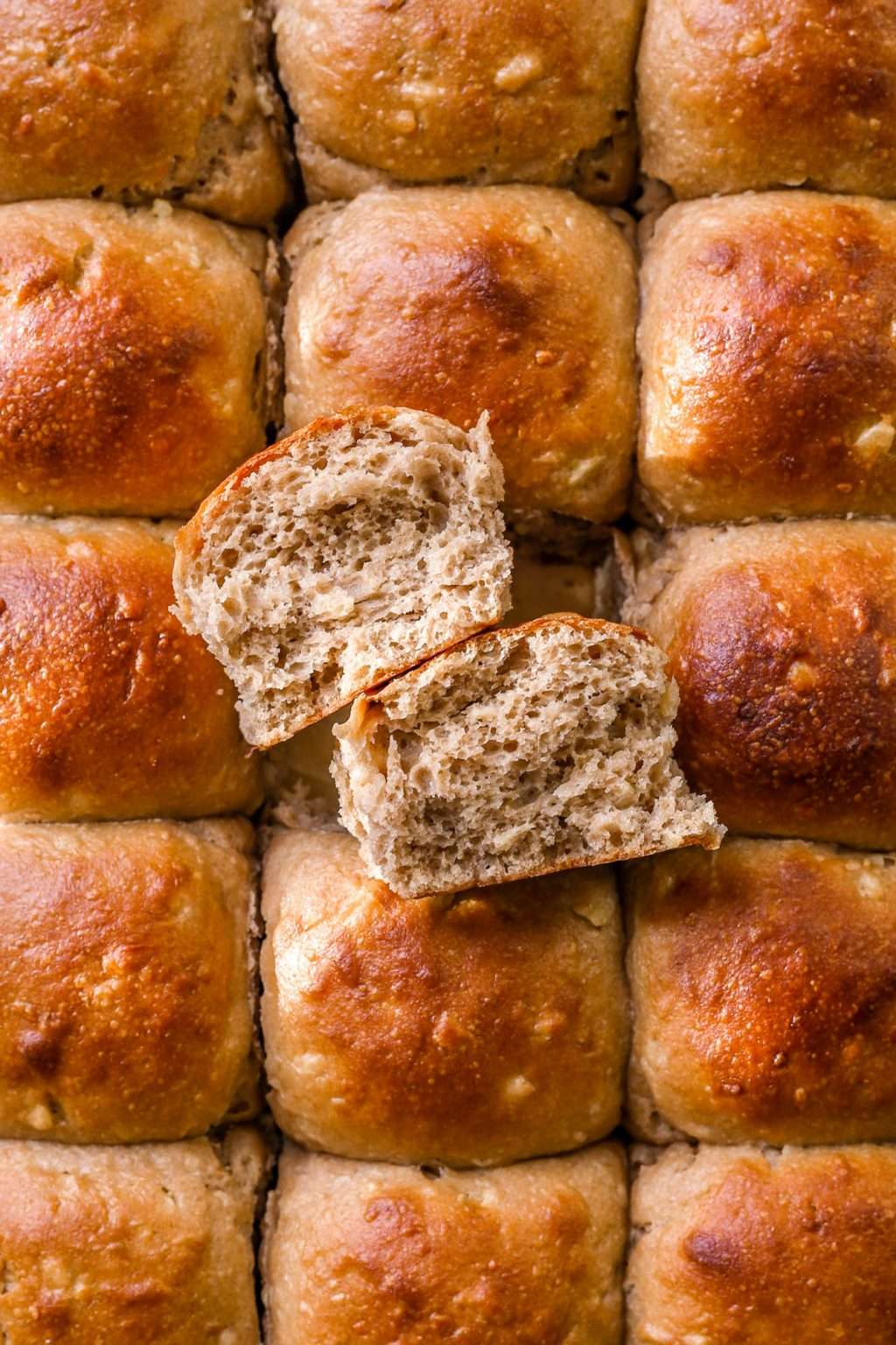 Sourdough Rye Rolls Recipe The Perfect Rye Slider Buns