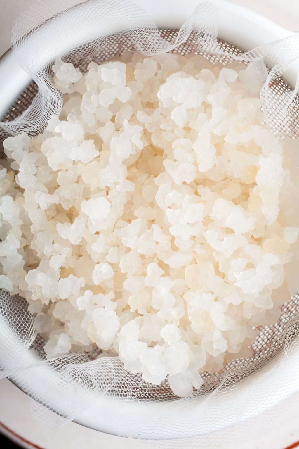 A Guide to Water Kefir Grains • Cultured Guru