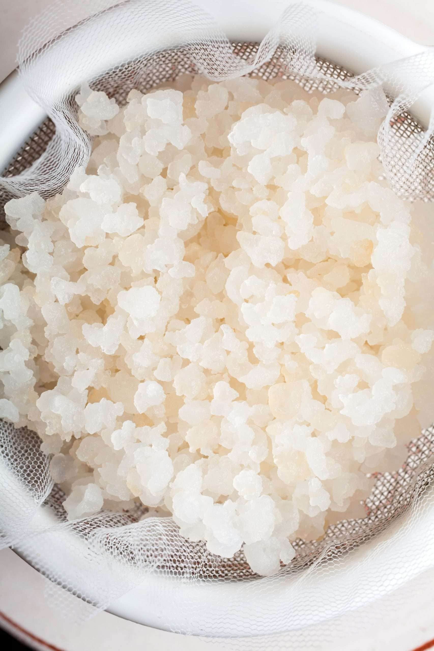 Dead Water Kefir Grains At Leo Gatehouse Blog Dead Water Kefir Grains At Leo Gatehouse Blog