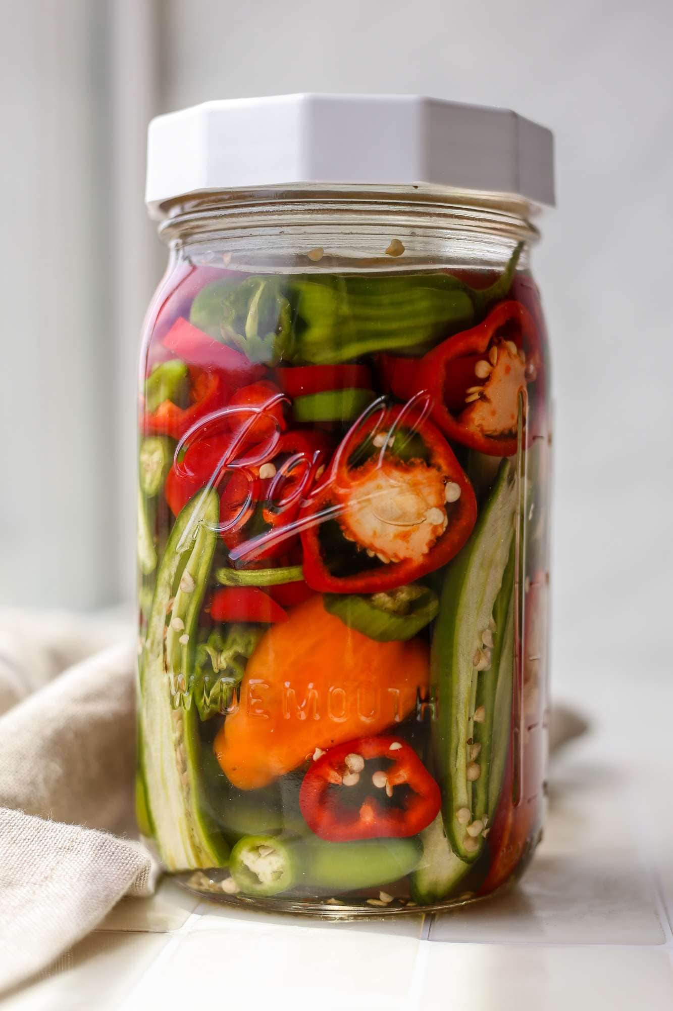 Pepper Fermentation Recipe: Learn How to Ferment Any Type of Pepper