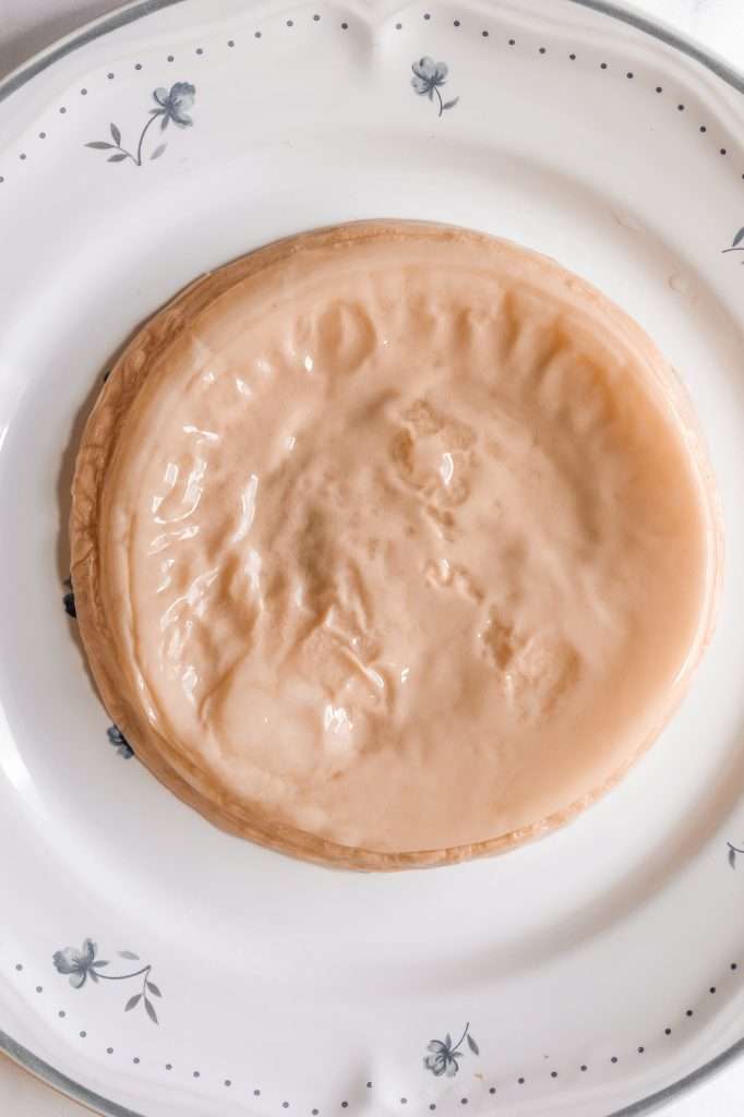 Vinegar mother SCOBY forming on a plate, showing smooth and rippled texture.