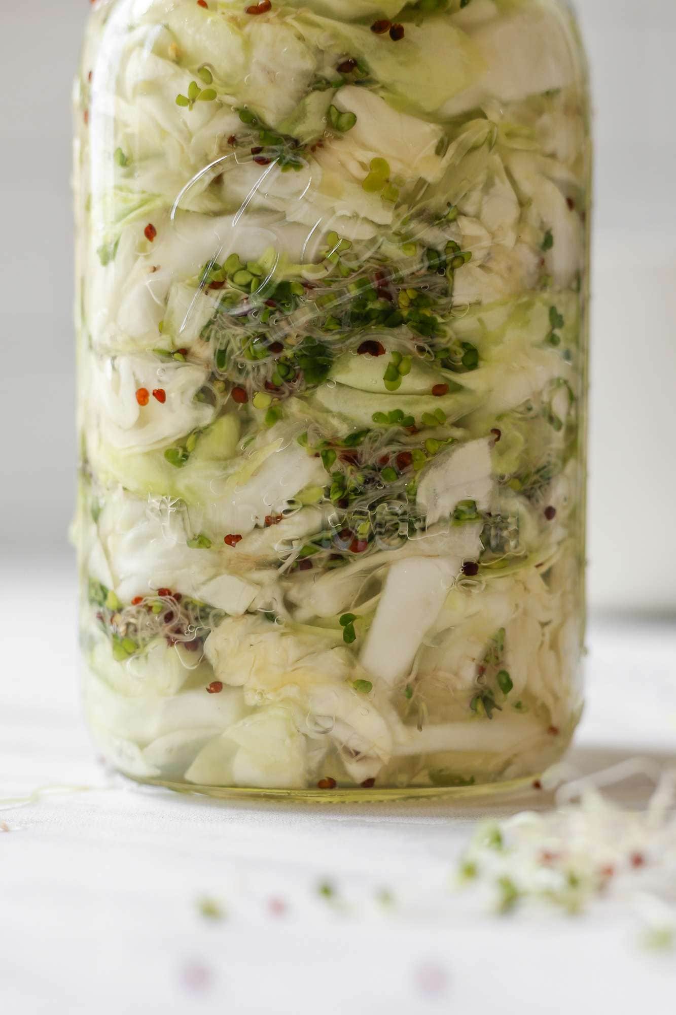 Fermented Broccoli Sprouts Sauerkraut • Cultured Guru