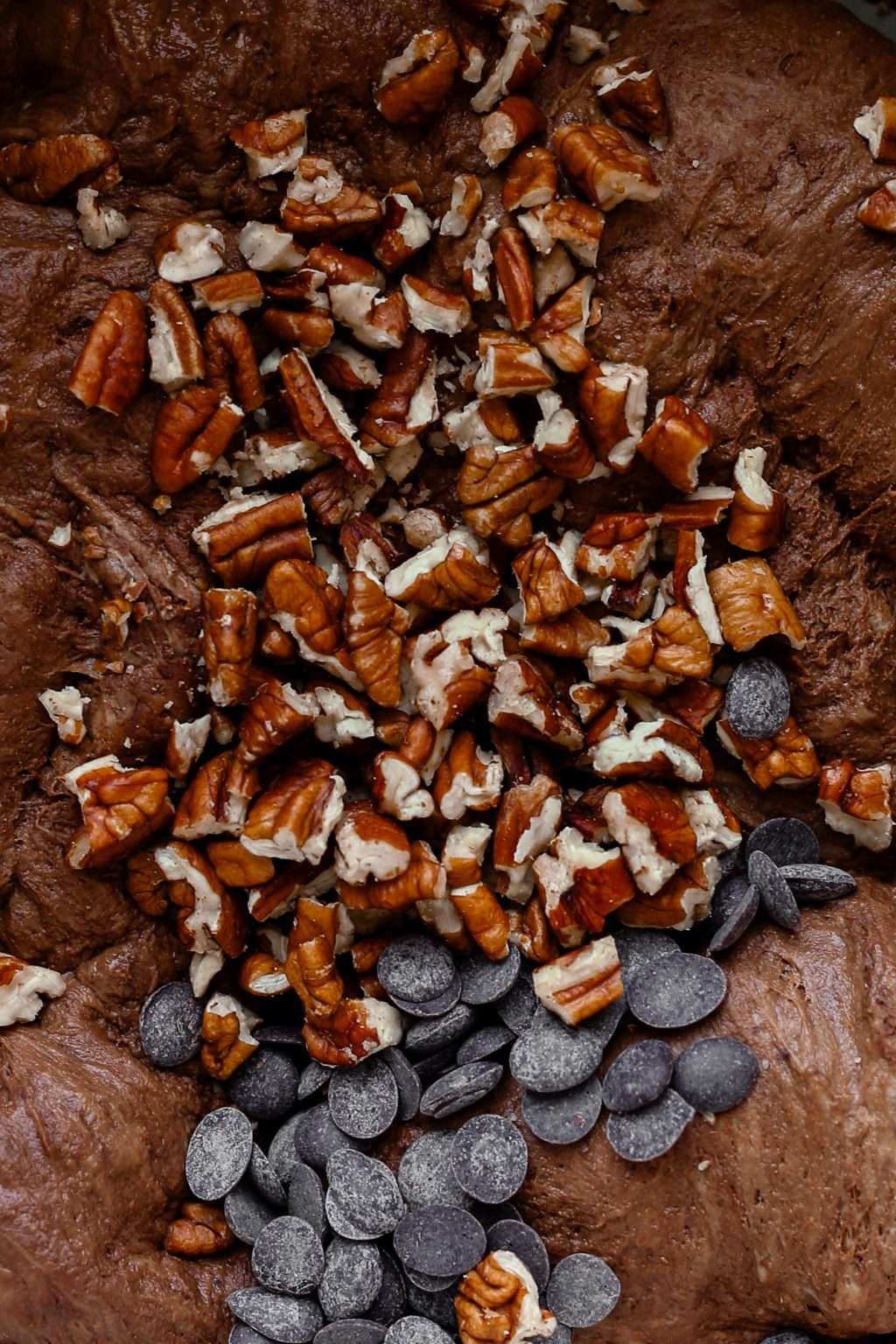 Sprouted Wheat Double Chocolate Pecan Sourdough (Sliced)
