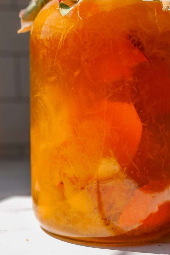 pumpkin vinegar fermenting in a gallon glass jar. 