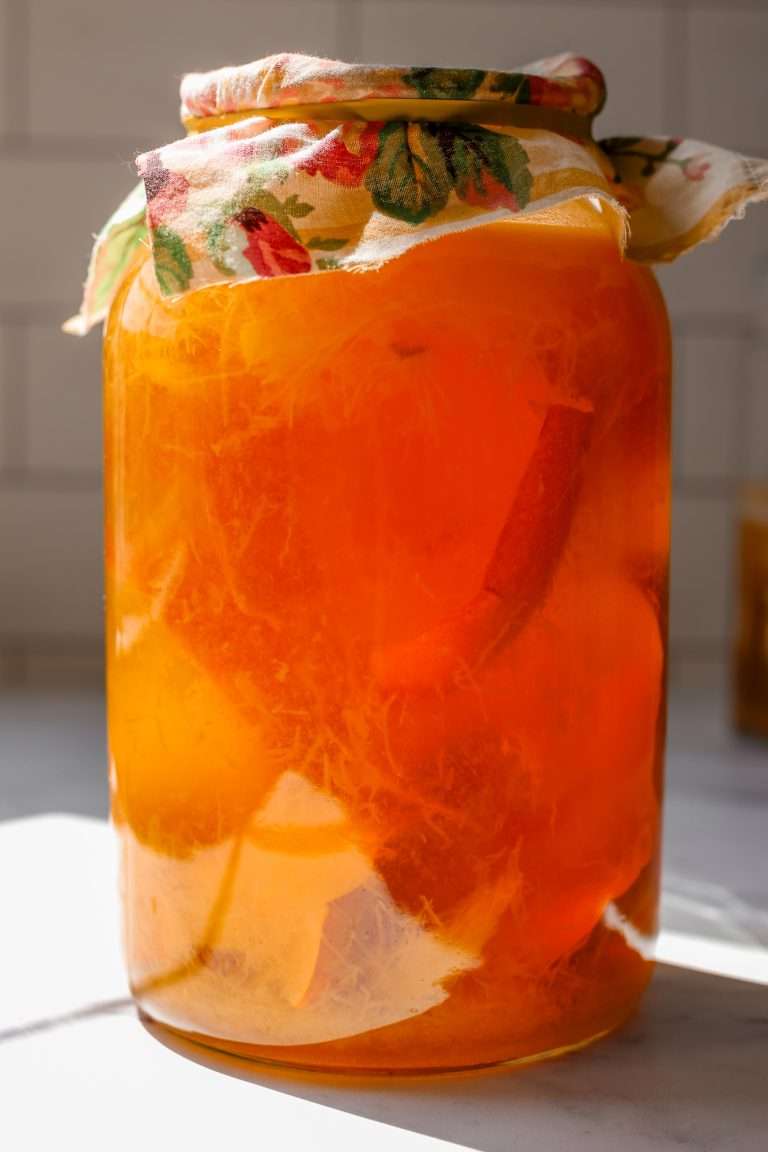 Roasted Pumpkin Vinegar From Scratch • Cultured Guru