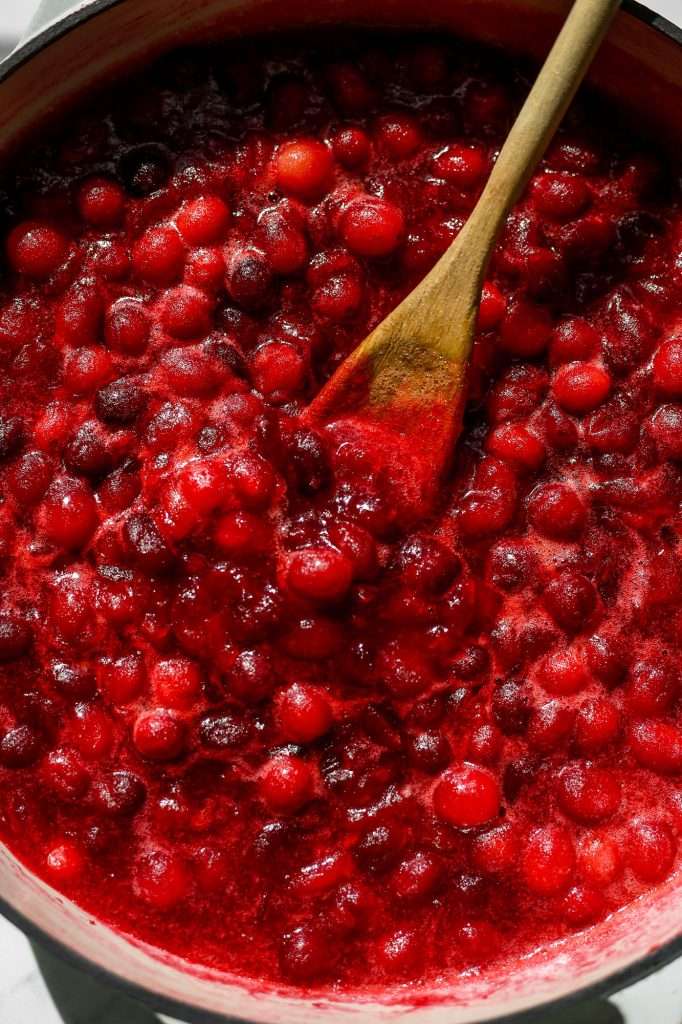 Orange Spiced Fermented Cranberry Sauce From Scratch