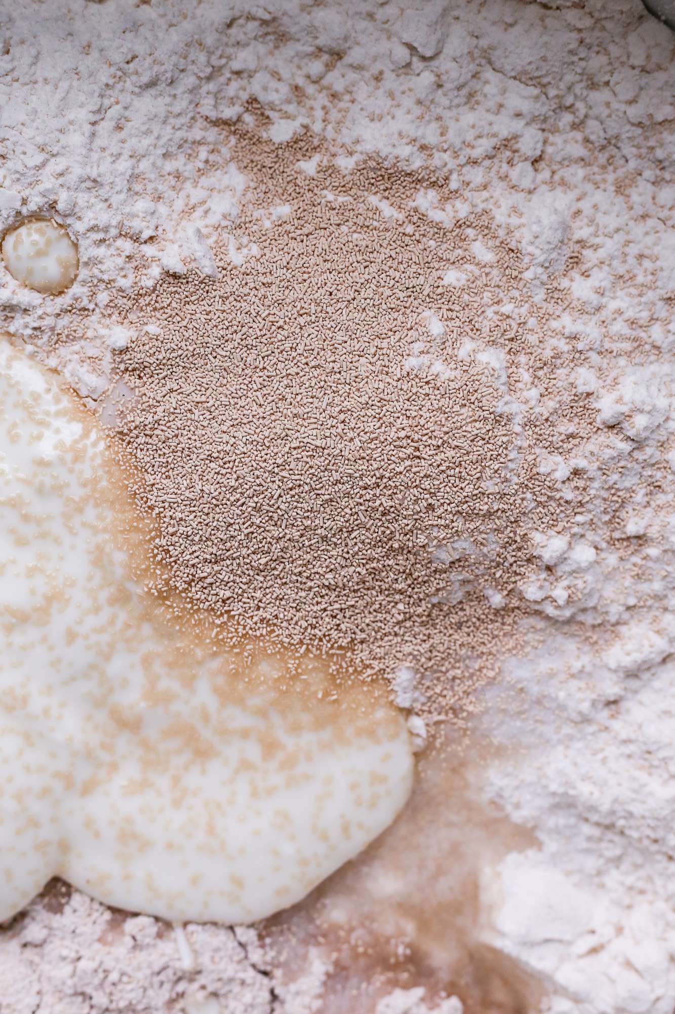 Whole Wheat Sourdough Bread Recipe Without Starter