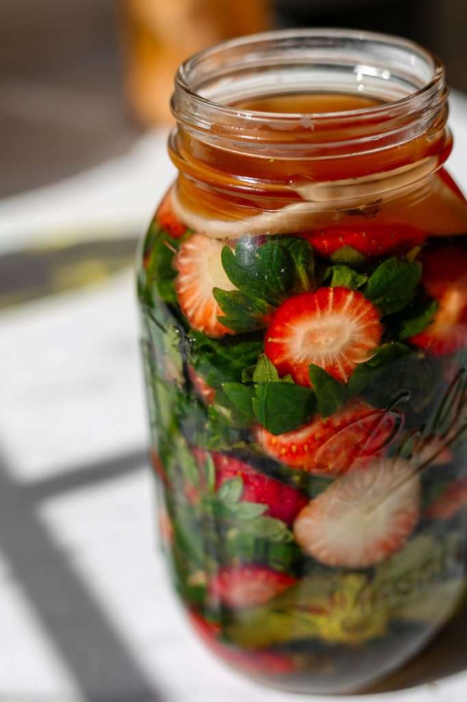 strawberry tops vinegar in a large clear glass mason jar with a vinegar mother scoby floating on top