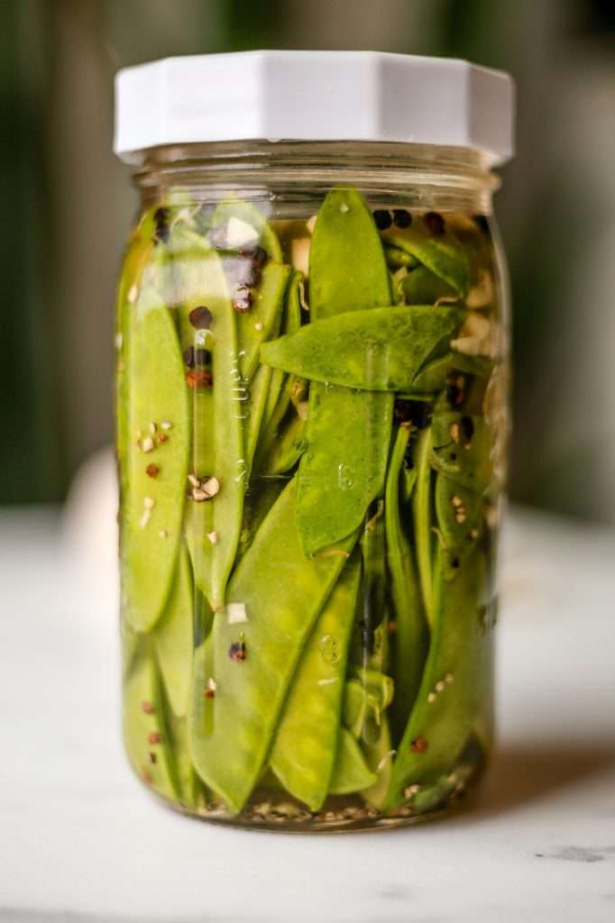 fermented snow peas on day one of fermentation. the peas are still bright green and in a 32 ounce clear glass mason jar with a white lid. There are black peppercorns and pieces of minced garlic in the jar too. 