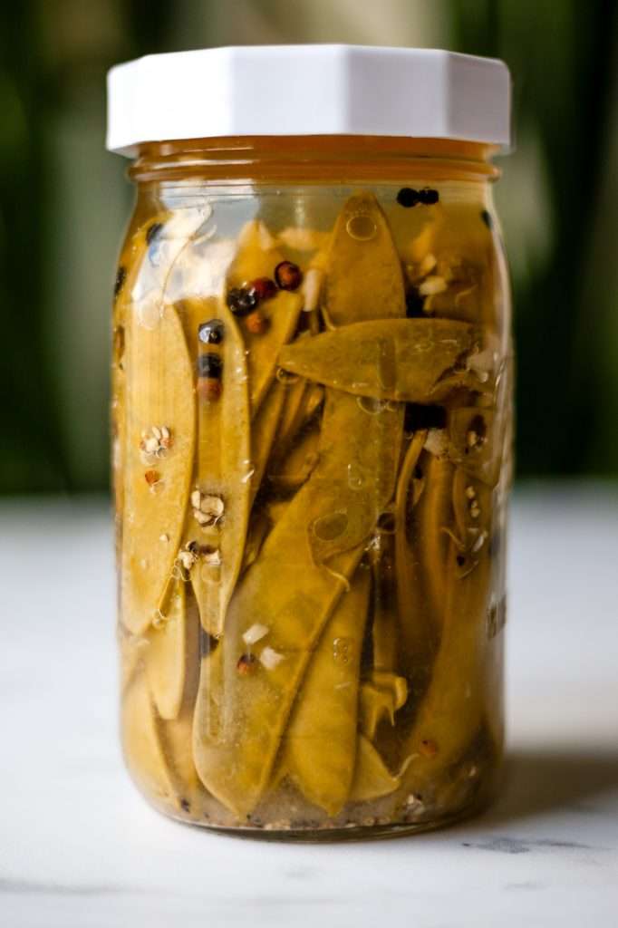 fermented snow peas on day 21 of fermentation. the peas are are now a muted olive green color and in a 32 ounce clear glass mason jar with a white lid. There are black peppercorns and pieces of minced garlic in the jar too. 