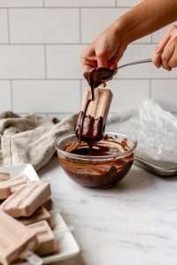 Chocolate and Honey Greek Yogurt Ice Cream Bars