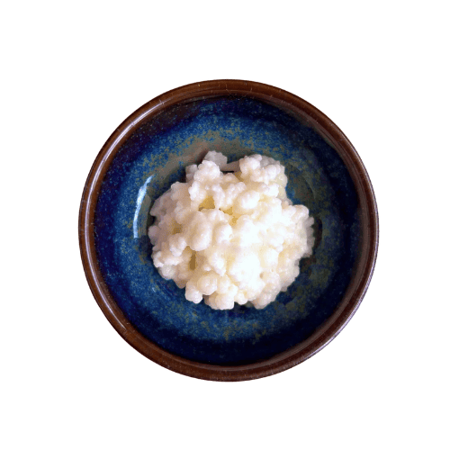 Milk Kefir Grains product image