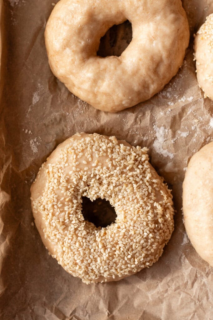 Close-up of sesame-seeded and plain sourdough bagels resting on a parchment-lined tray.