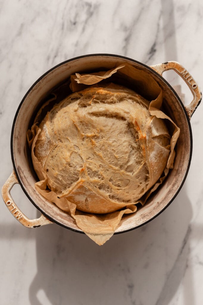 A partially baked sourdough boule in a Dutch oven lined with parchment paper, showing a light crust forming.