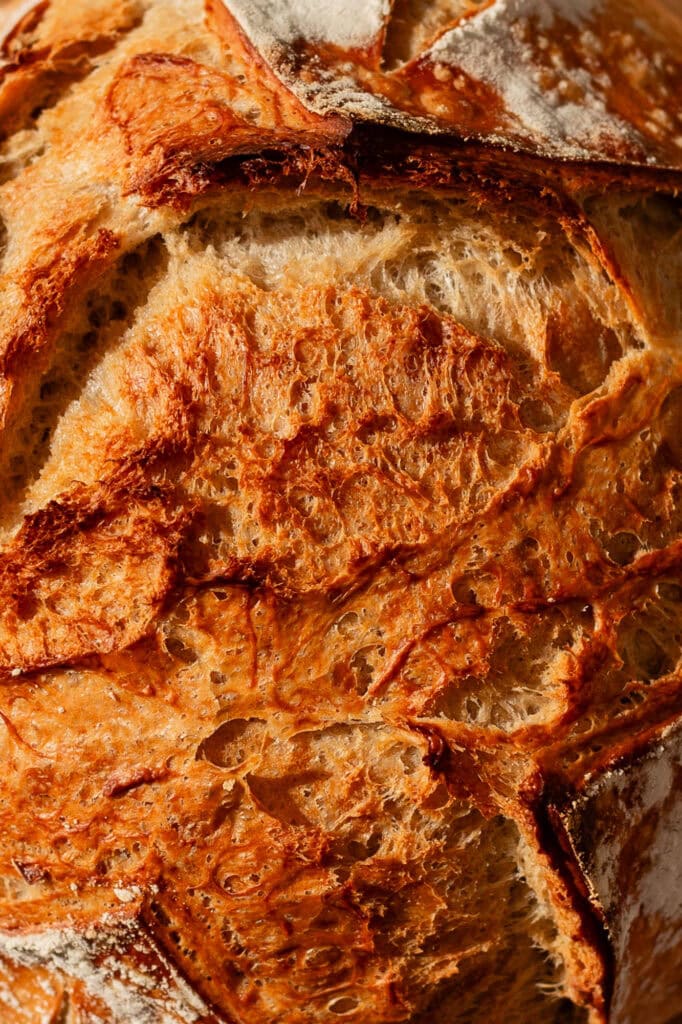 A close-up macro shot of the golden crust of a sourdough boule, highlighting its texture.