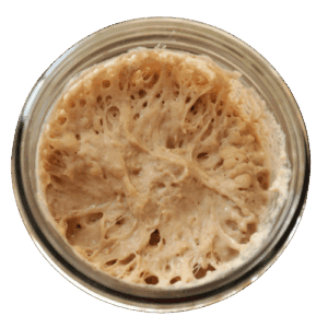 French Sourdough Starter