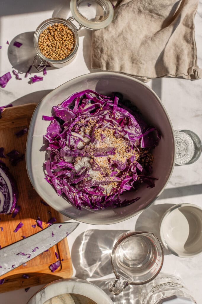 A bowl of chopped red cabbage, blueberries, and coriander. 