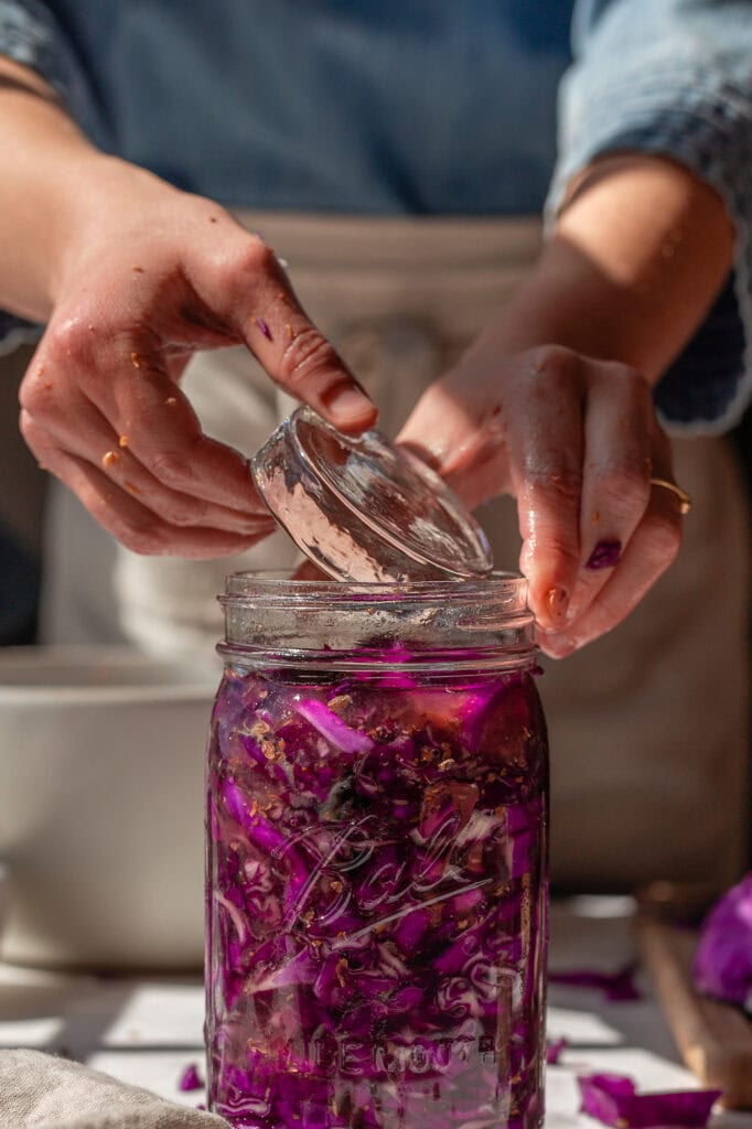 Hands placing a glass weight into a jar filled with packed red cabbage and blueberries, ready for fermentation.