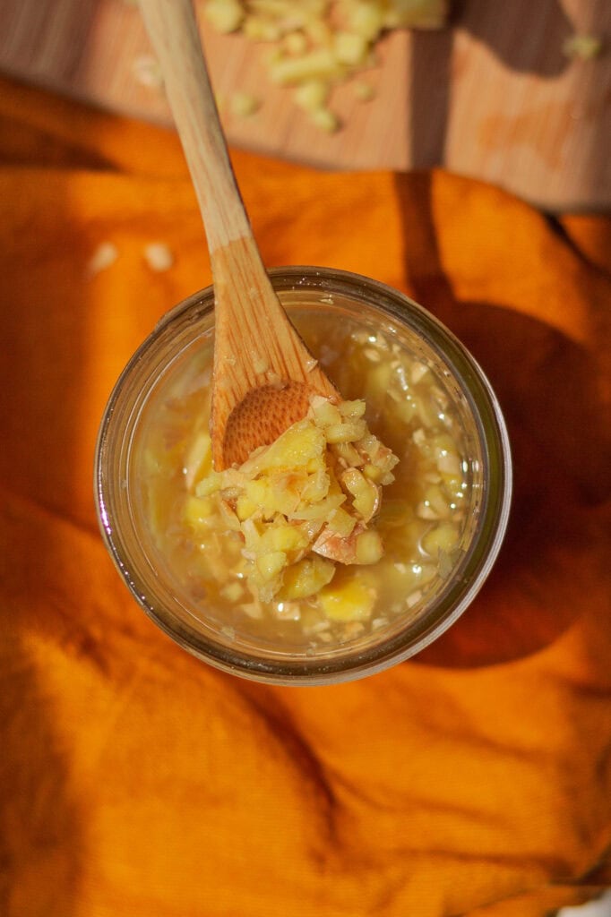 gingerbugwildfermentedsoda