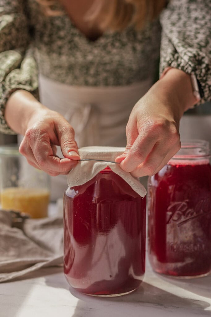 Securing a Breathable Cloth Lid to the Ginger Bug Hands secure a robber band and cheesecloth to the ginger bug drink.