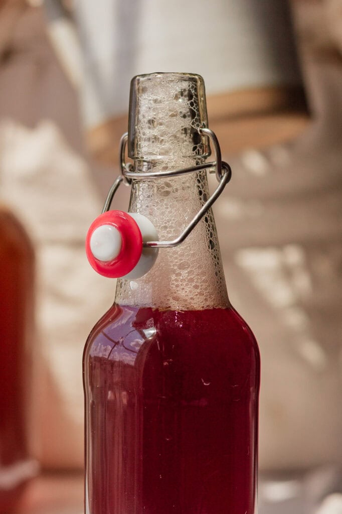 gingerbugwildfermentedsoda