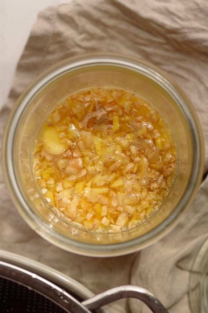 Bubbling Ginger Bug Culture a close up of bubbles in a ginger bug after 3 days of fermentation and feeding.