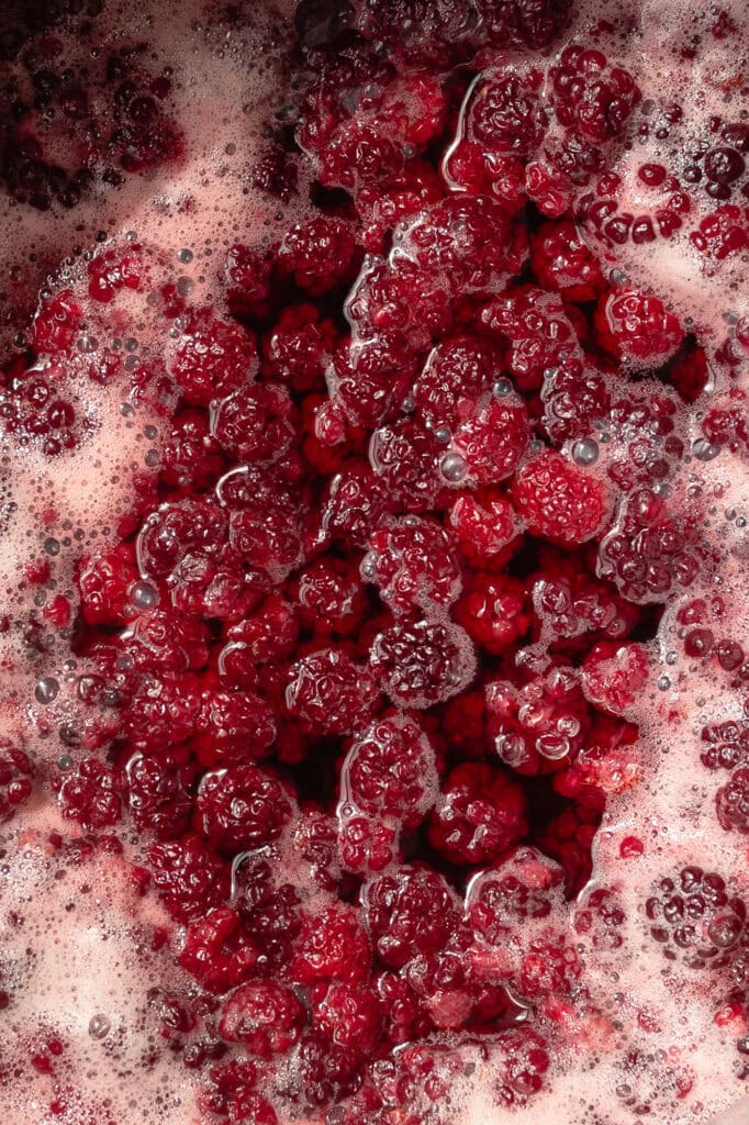 gingerbugwildfermentedsoda