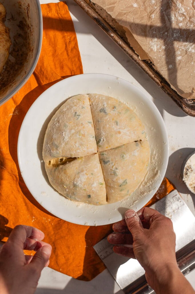 Dividing the Savory Leek and Parmesan Dough A round, light-yellow dough, mixed with green specks of leeks, resting on a white, floured plate. The dough has been scored into four equal portions to prepare for dividing and shaping.