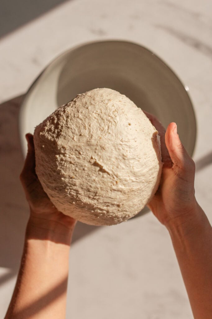 hands holding a dough ball after stretching and folding the dough.